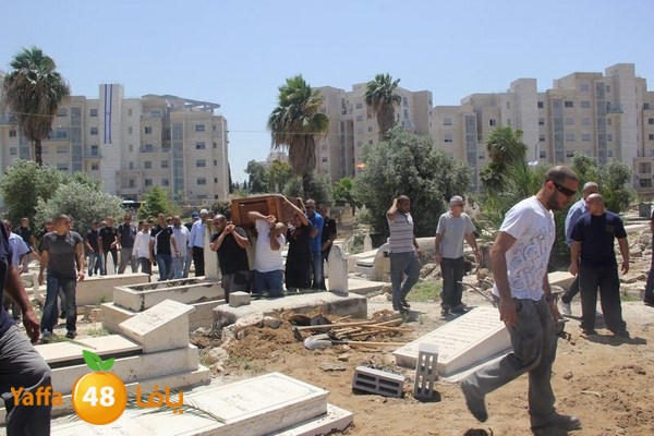 jaanzaa 0501 (12).JPG